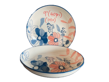 9 Inch Dinner Plate 40pcs
