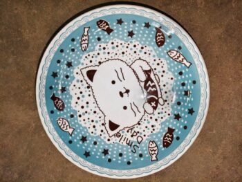 9 Inch Dinner Plate 40pcs